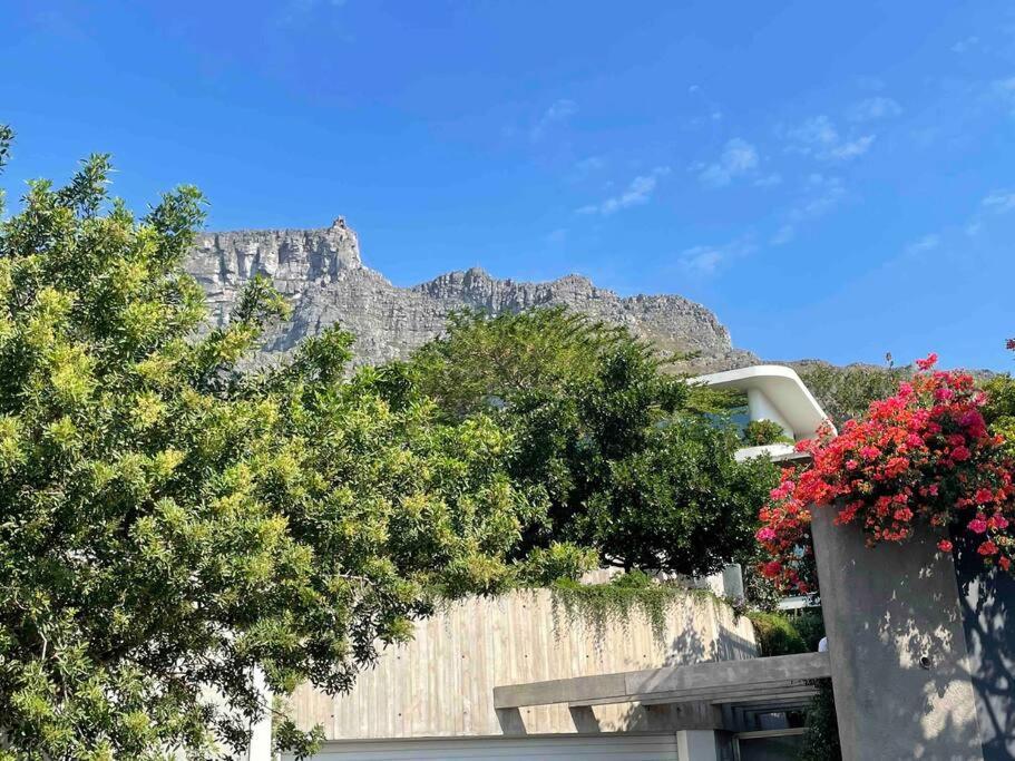 Villa Home, Is A True Oasis. Cape Town
